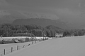 DSCF3568 - Bernhard Saalfeld