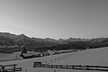DSCF3598 - Bernhard Saalfeld