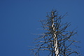 DSC00013 - Bernhard Saalfeld