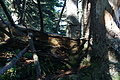 DSC00015 - Bernhard Saalfeld