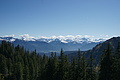DSC00022 - Bernhard Saalfeld