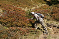 DSC00049 - Bernhard Saalfeld