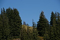 DSC00052 - Bernhard Saalfeld