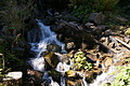DSC00067 - Bernhard Saalfeld