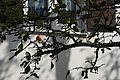 DSC00090 - Bernhard Saalfeld