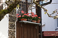 DSC00091 - Bernhard Saalfeld