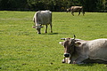 DSC00100 - Bernhard Saalfeld