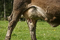 DSC00101 - Bernhard Saalfeld