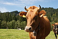 DSC00104 - Bernhard Saalfeld