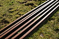 DSC00107 - Bernhard Saalfeld