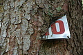 DSC00109 - Bernhard Saalfeld