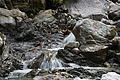 DSC00137 - Bernhard Saalfeld