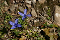 DSC00140 - Bernhard Saalfeld