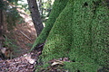 DSC00143 - Bernhard Saalfeld