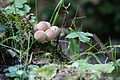 DSC00145 - Bernhard Saalfeld