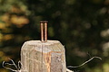 DSC00150 - Bernhard Saalfeld