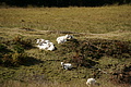 DSC00152 - Bernhard Saalfeld