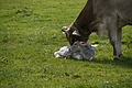 DSC00157 - Bernhard Saalfeld