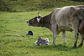 DSC00161 - Bernhard Saalfeld