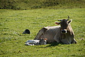 DSC00163 - Bernhard Saalfeld