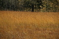 DSC00166 - Bernhard Saalfeld