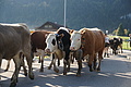 DSC00187 - Bernhard Saalfeld