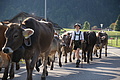 DSC00188 - Bernhard Saalfeld