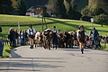 DSC00191 - Bernhard Saalfeld