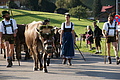 DSC00192 - Bernhard Saalfeld
