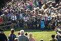 DSC00254 - Bernhard Saalfeld