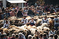 DSC00266 - Bernhard Saalfeld