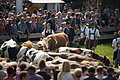 DSC00270 - Bernhard Saalfeld