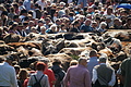 DSC00273 - Bernhard Saalfeld