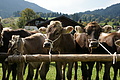 DSC00307 - Bernhard Saalfeld