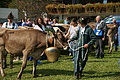 DSC00310 - Bernhard Saalfeld