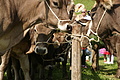 DSC00312 - Bernhard Saalfeld