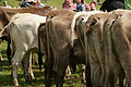 DSC00313 - Bernhard Saalfeld
