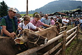 DSC00318 - Bernhard Saalfeld
