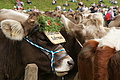DSC00324 - Bernhard Saalfeld