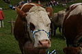 DSC00325 - Bernhard Saalfeld