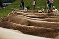 DSC00326 - Bernhard Saalfeld