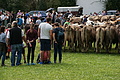 DSC00329 - Bernhard Saalfeld