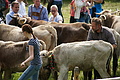 DSC00331 - Bernhard Saalfeld