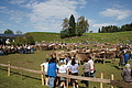 DSC00346 - Bernhard Saalfeld