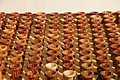 DSC00356 - Bernhard Saalfeld