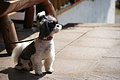 DSC00373 - Bernhard Saalfeld
