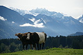 DSC00389 - Bernhard Saalfeld