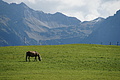 DSC00405 - Bernhard Saalfeld