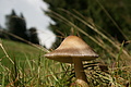 DSC00411 - Bernhard Saalfeld