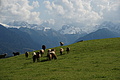DSC00415 - Bernhard Saalfeld